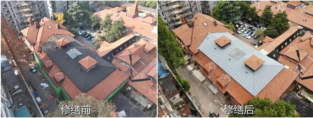 1695893915161298.jpg 1695893915161298.jpg