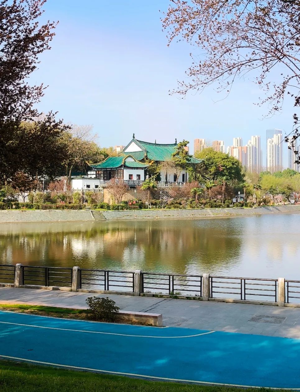 1733387655135050.jpg c890497f24a3562a2639ae25ded201ba.jpg