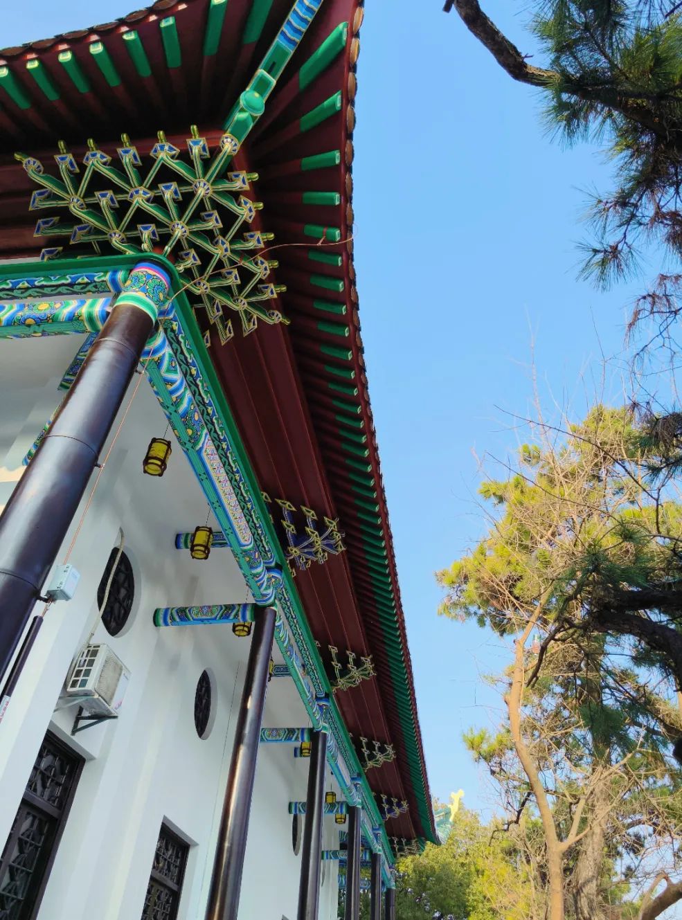 1733387762200584.jpg a1bad8a5cf78761c6da45508d26da975.jpg