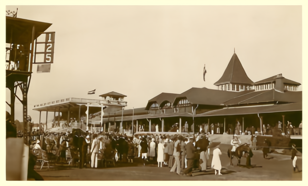 1733388538293428.png 99e97cfd44c71e7aa3570b5c92e7c50b.png