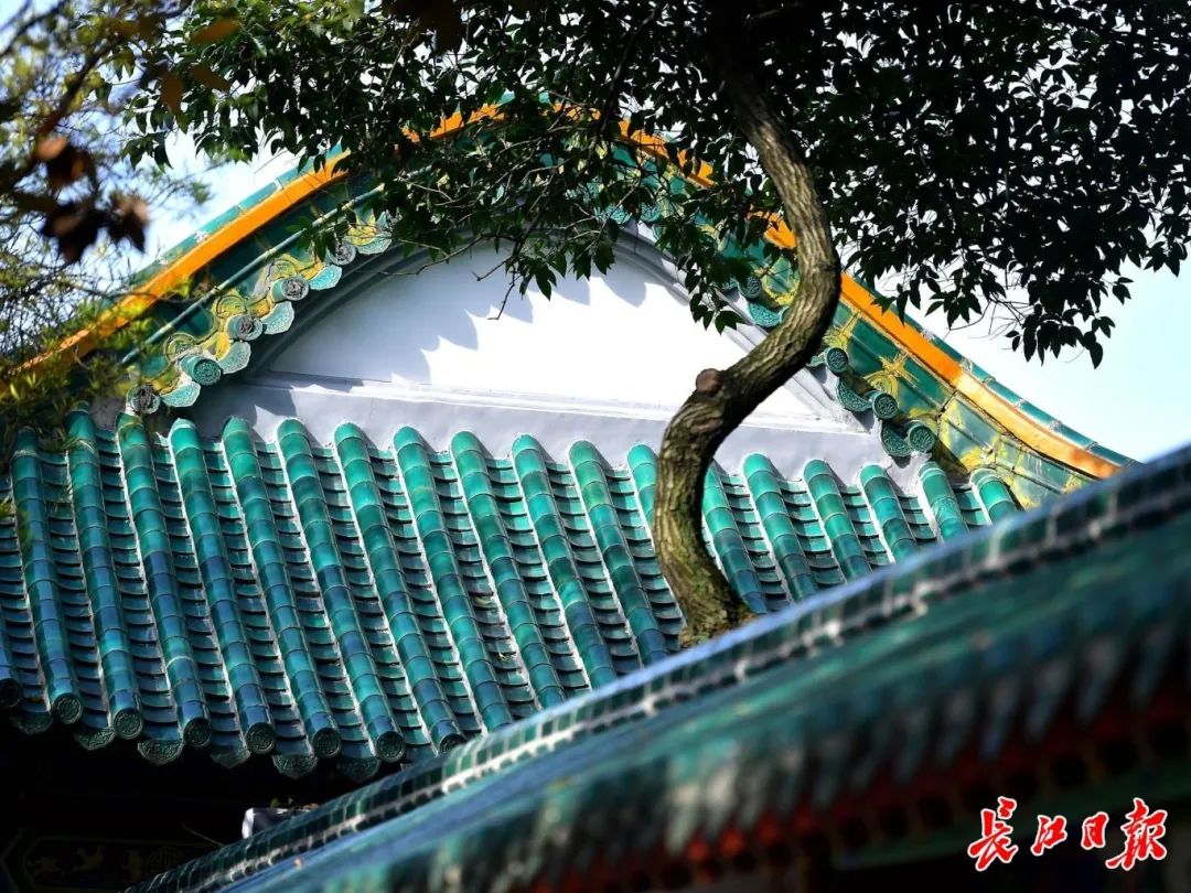 1733390601123464.jpg 91125f2a9c6b98b5c32c5cea0c214749.jpg