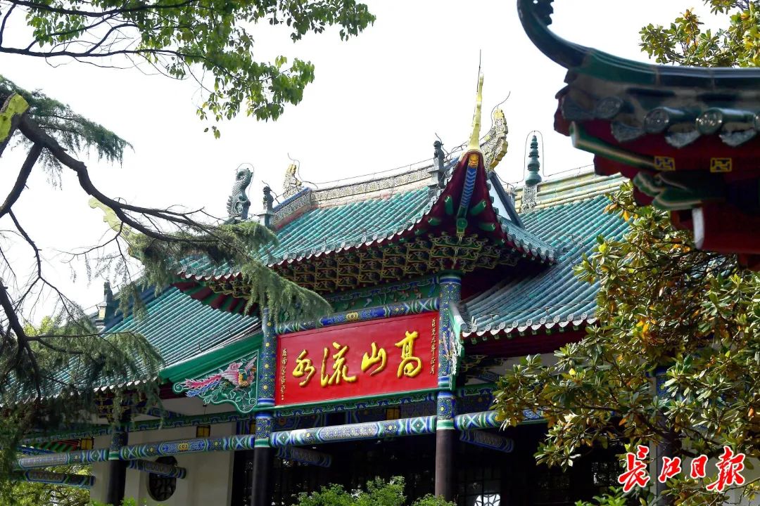 1733390683422511.jpg cfa865fcd3600c26cc48a1d7532d8bc5.jpg