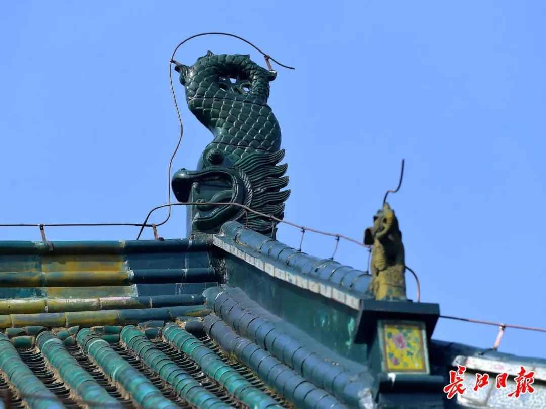 1733390727584879.jpg feaff64fdce93e564d81d87dbb375086.jpg