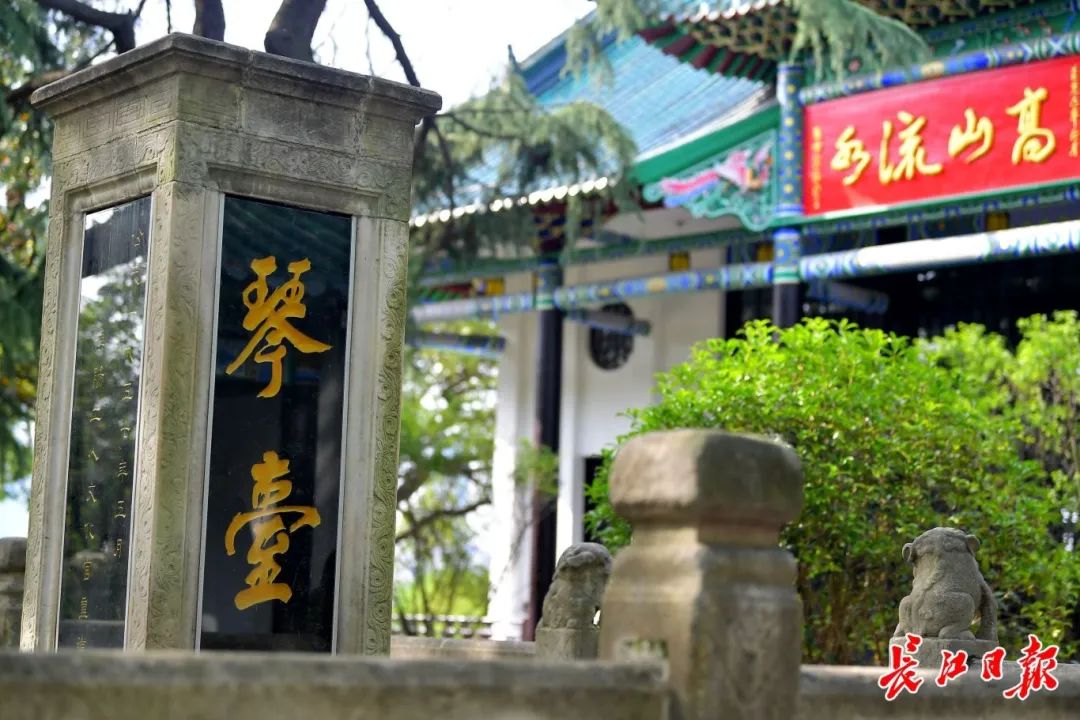 1733390772141116.jpg 923cdc9939ccb17e2cd0ad35bdc07aa9.jpg