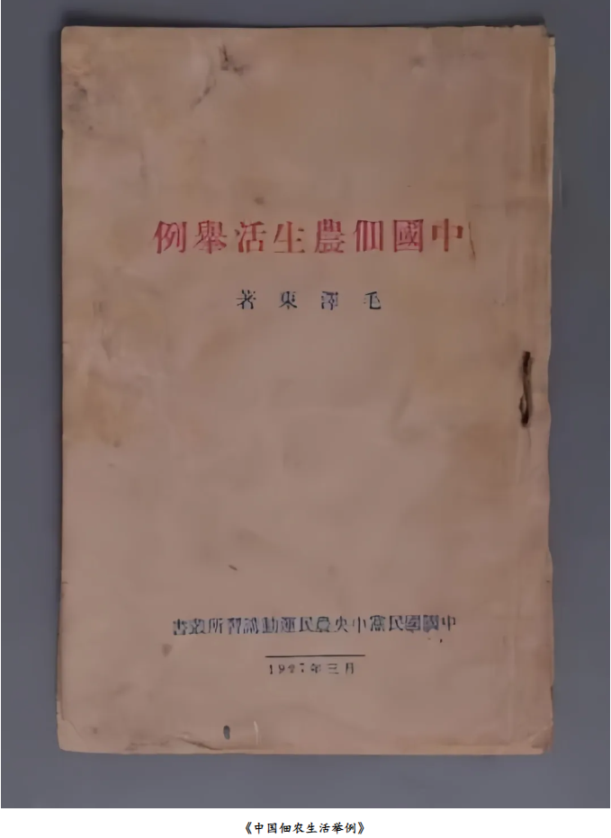 1734056965173159.png 1734056979689.png