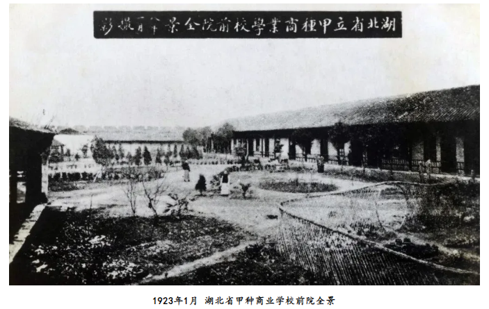 1734059357438392.png 1734059368434.png