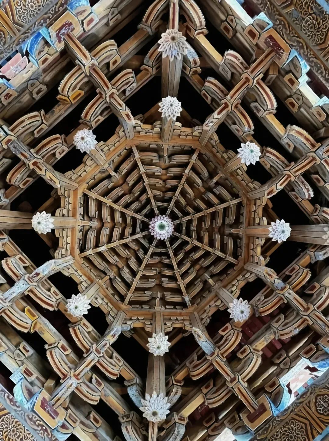 1742800159131122.jpg 1742800159131122.jpg