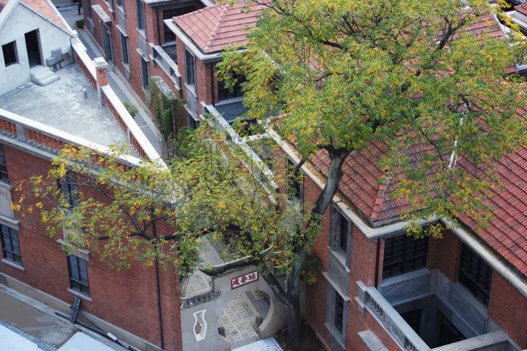 1751269503250737.jpg 0cf7ad0272869eee60dc0f89d16723fa.jpg