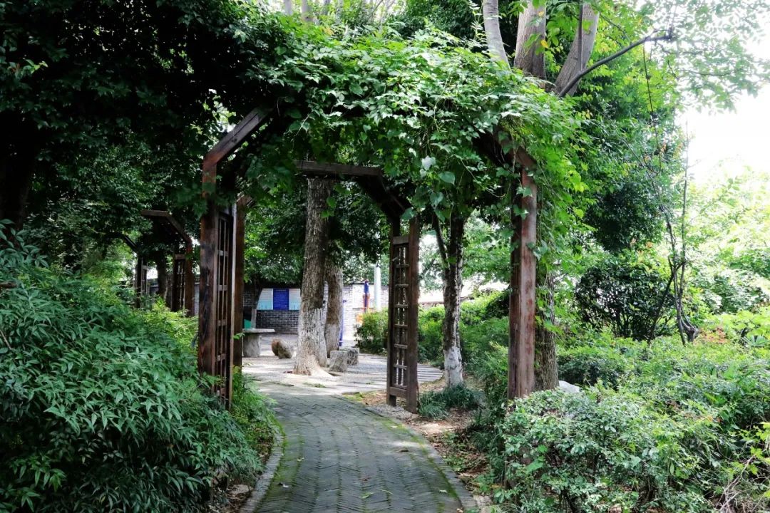 1751272579566873.jpg 65fe5d8bec743c0b2685d302628740b6.jpg